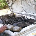 2011-Jul-09_HGR4X4_Richloam_P1 117